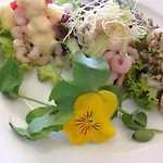Solyst Kro- Restaurant Og I/s 2*