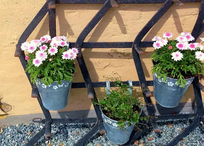 Solyst Kro- Restaurant Og I/s